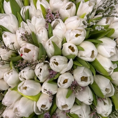 Букет из 101 тюльпана с цветущими веточками