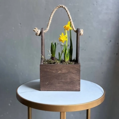 Композиция из луковиц первоцветов в деревянном ящике