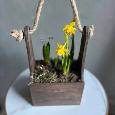 Композиция из луковиц первоцветов в деревянном ящике