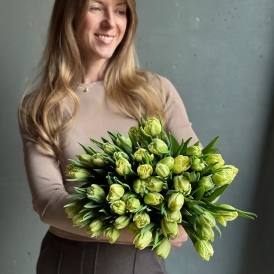 Монобукет из пионовидных тюльпанов сорта Авангард Монобукет из пионовидных тюльпанов сорта Авангард