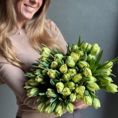 Монобукет из пионовидных тюльпанов сорта Авангард Монобукет из пионовидных тюльпанов сорта Авангард