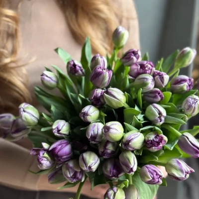 Букет сиреневых пионовидных тюльпанов Сайгон Букет сиреневых пионовидных тюльпанов Сайгон