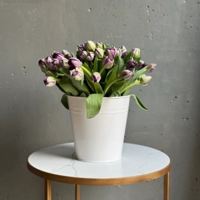 Охапка сиреневых тюльпанов в ведре Охапка сиреневых тюльпанов в ведре