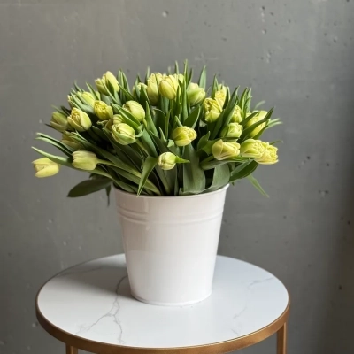 Охапка лимонных тюльпанов в ведре Охапка лимонных тюльпанов в ведре