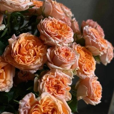 Охапка апельсиновых кустовых роз в ведре Охапка апельсиновых кустовых роз в ведре