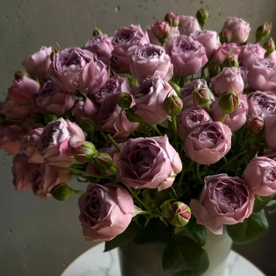Охапка лавандовых пионовидных роз в ведре Охапка лавандовых пионовидных роз в ведре