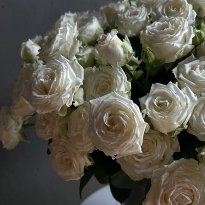 Охапка пломбирных пионовидных роз в ведре