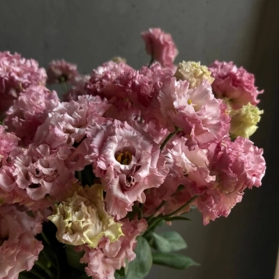 Охапка клубничной воздушной эустомы в ведре