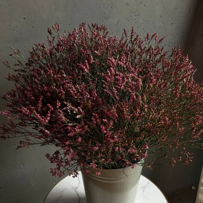 Охапка цветущих веток лимониума в ведре