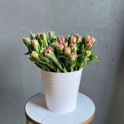 Охапка розовых тюльпанов в ведре