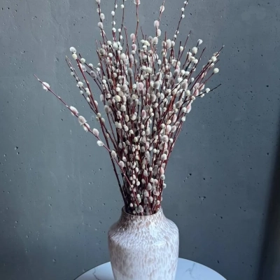 Интерьерный пучок сезонной красной вербы