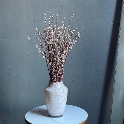 Интерьерный пучок сезонной красной вербы