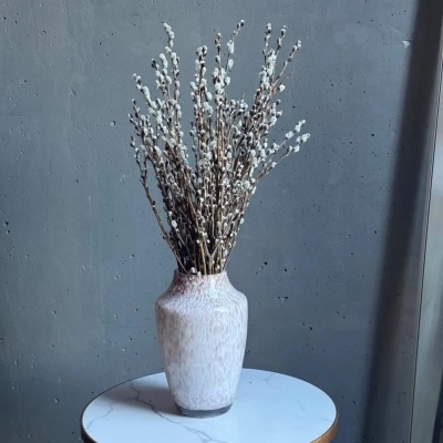 Изящный пучок серой вербы