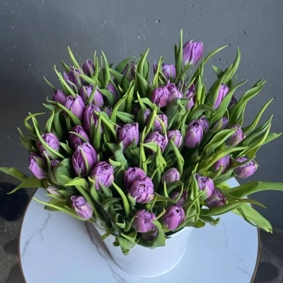 Охапка фиолетовых тюльпанов сорта Дабл Прайс в ведре