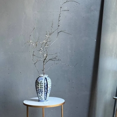 Ветки айвы для декорирования интерьера