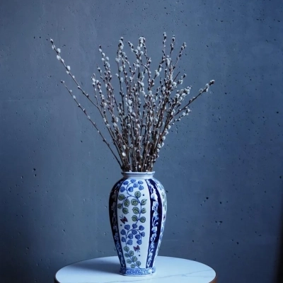 Изящный пучок серой вербы Изящный пучок серой вербы