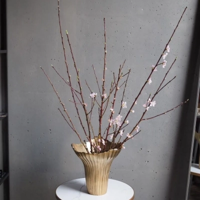 Ветки вишни для декорирования интерьера