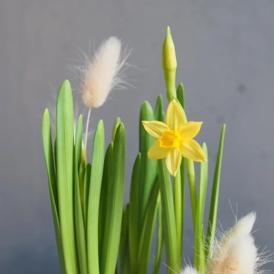 Пасхальное кашпо "Мама - цыпа"