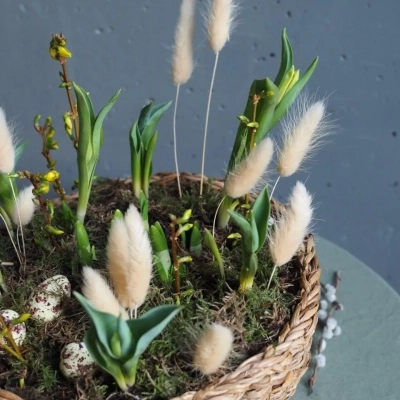 Плетёная корзина к Пасхе с форзицией и тюльпанами