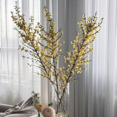 Ветки форзиции