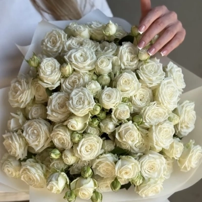 Букет из пионовидной розы сорта Бомбастик