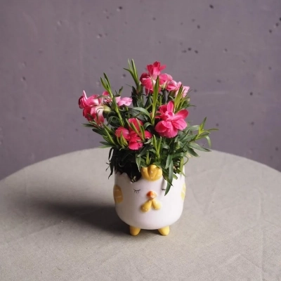 Кашпо "Цыпа" с кустовой гвоздикой