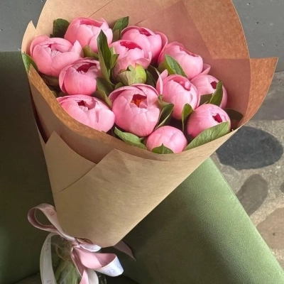 Пионы сорта "Salmon"