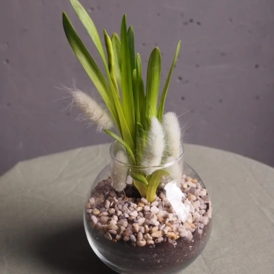 Весенняя композиция в стеклянном кашпо с нарциссами