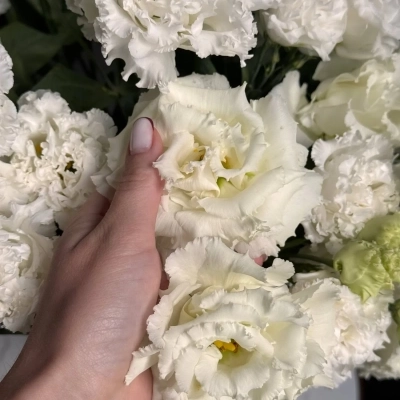 Охапка молочной фермерской эустомы