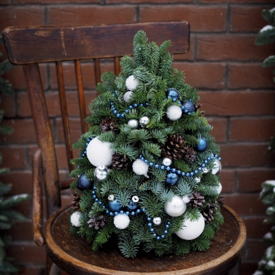 Бело-синяя новогодняя ель на стол из живой сосны 45см 